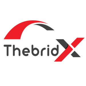 Logo ThebridX
